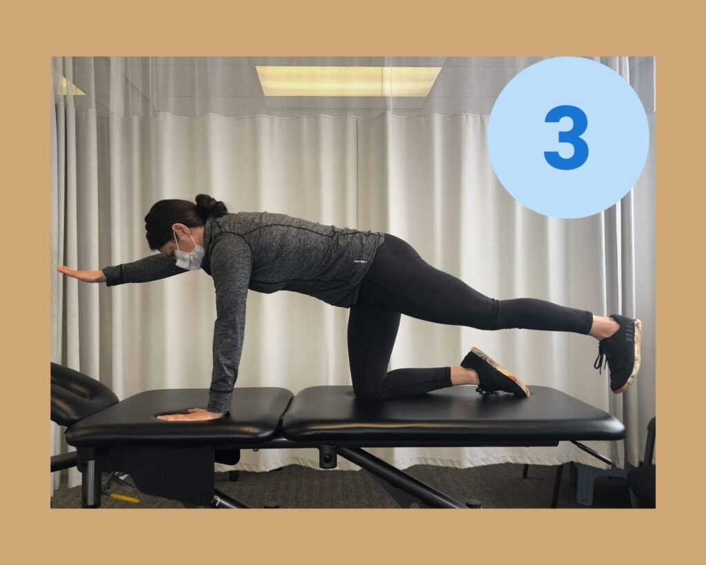 Bird Dog Exercise by Ali Step-3