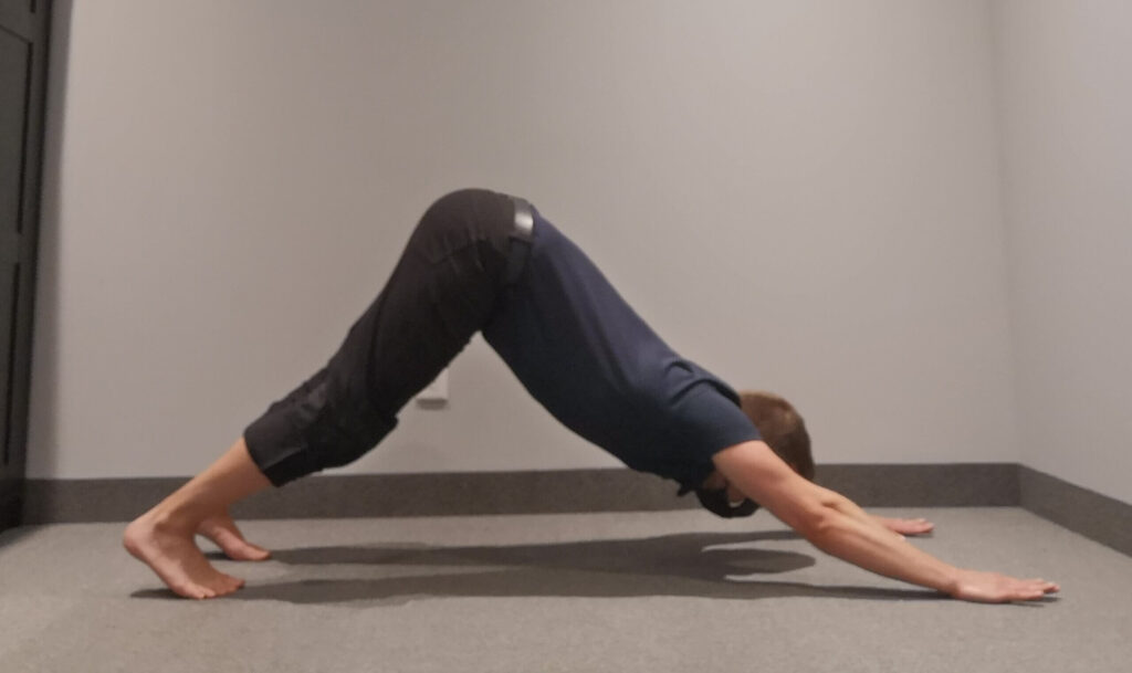 Yoga Stretch- Downward Dog