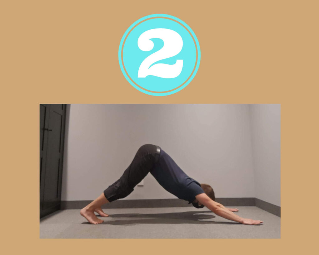 Yoga Stretch Downward Dog Step 2