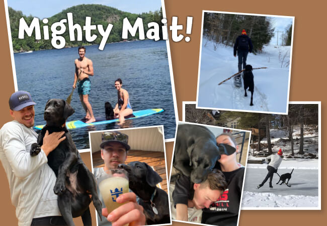 SOS Physiotherapy's April newsletter is filled with great stories and tips!