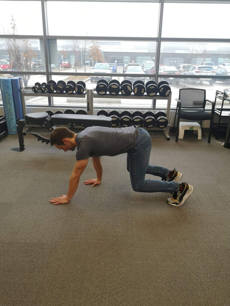 Core and Shoulder Exercise- The Walk-Out