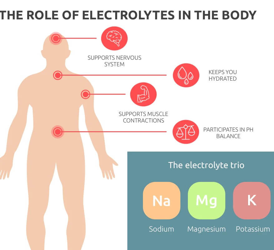 The importance of electrolytes like sodium, magnesium and potassium to recover and support movement after exercise.