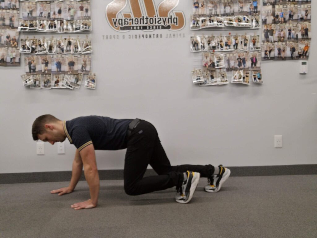 Bear Crawl Warm Up demonstrated by Physiotherapist Ryan Marrin