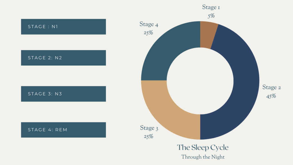 Pi Chart showing sleep cycles. How Sleep is truly the hero in injury recovery