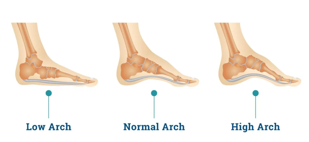 foot mechanics