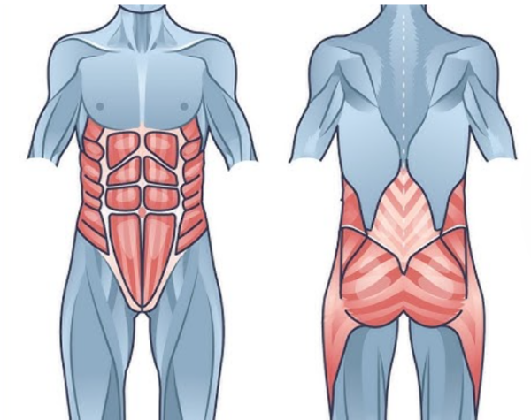 Core Truths: How Physiotherapy Strengthens More Than Just Your Abs