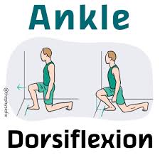 Knee to wall dorsiflexion